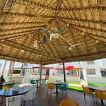 Casa Coral Lujo Y Equipamiento Resdencial Palmilla