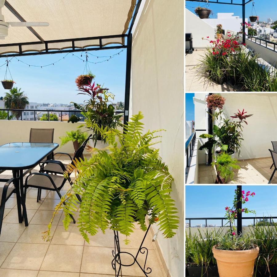 Departamento Muy Cerca De La Playa En La Paz Mazatlán