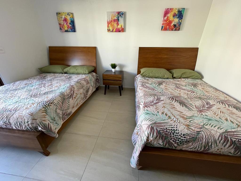 Brand New Near The Mazatlán