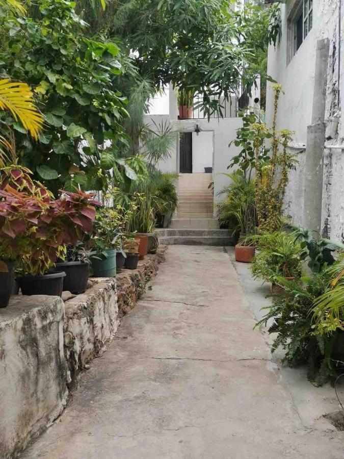 Apartamento Depa Cerro Del Vigia#playa Olas Altas Caminando *