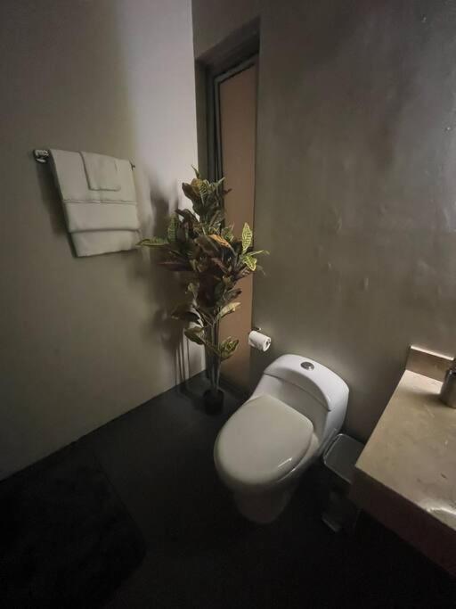 Apartamento Departamento En *