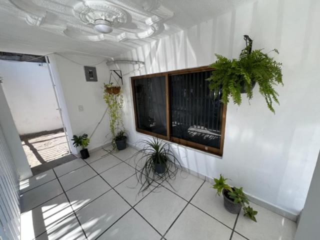 Dpto Casa Brisa! A 600 Metros De Playa&malecon! Alberca!
