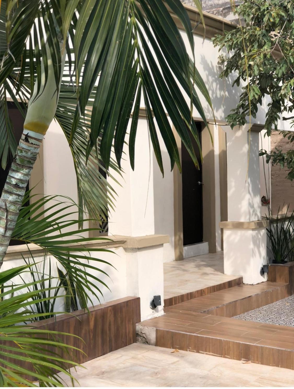 The Black Tree Hotel Mazatlan