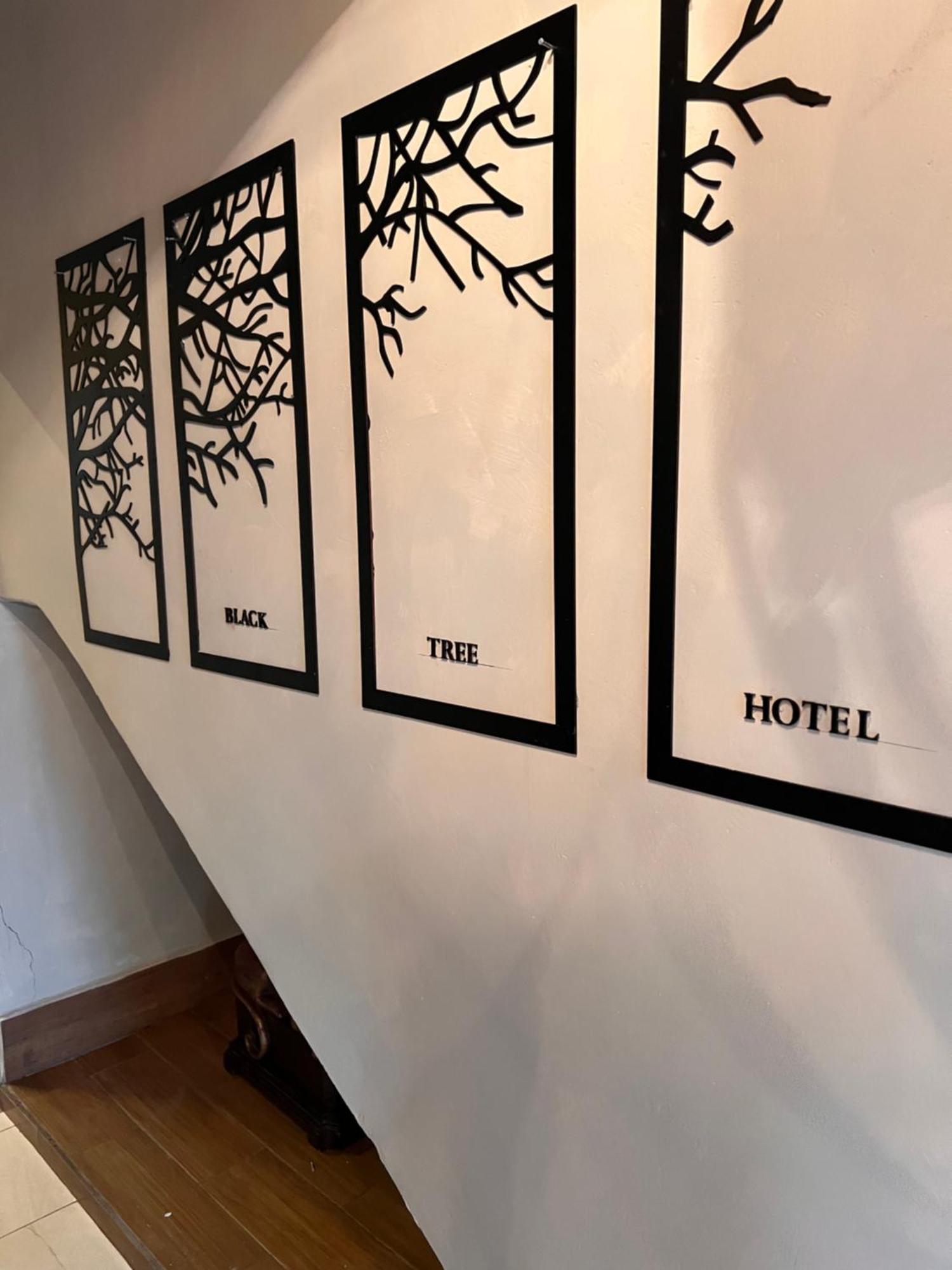 Hotel The Black Tree Mazatlan