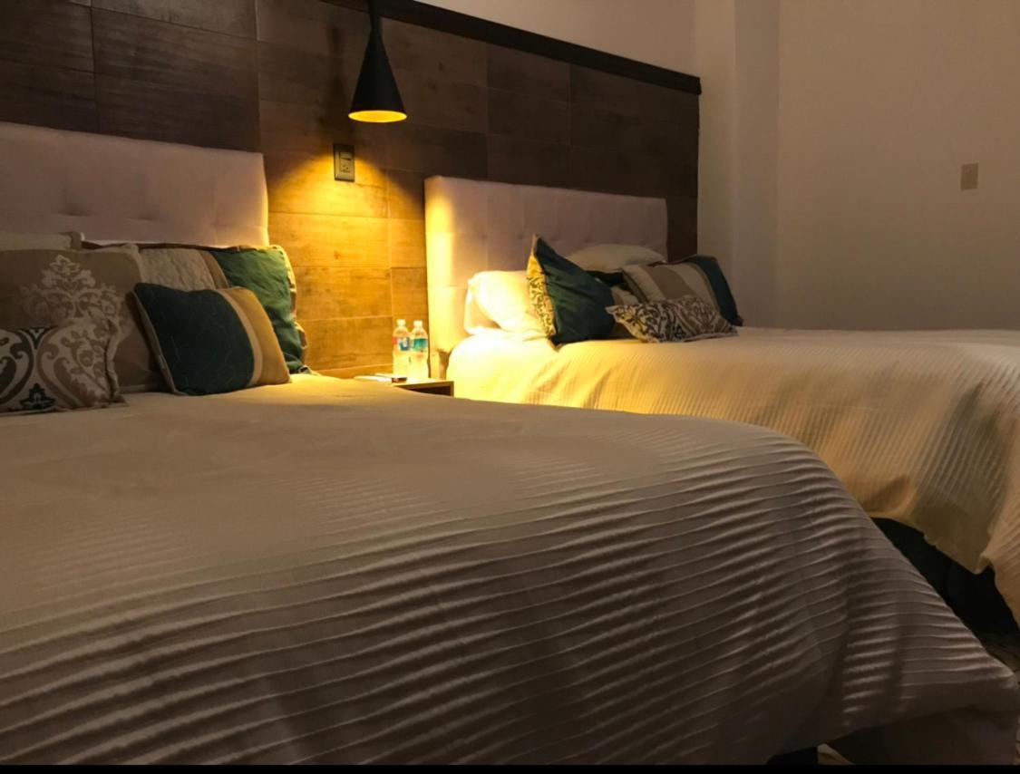 Hotel The Black Tree Mazatlan