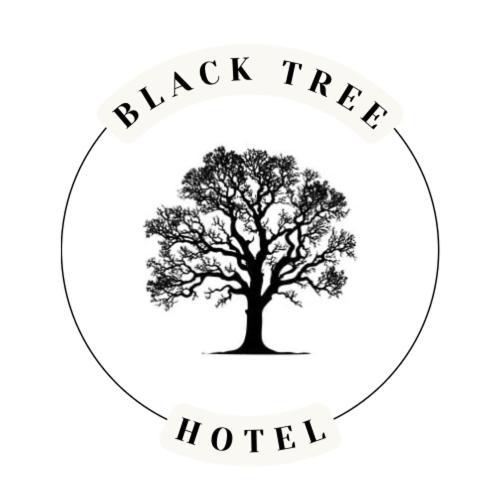 Hotel The Black Tree Mazatlan
