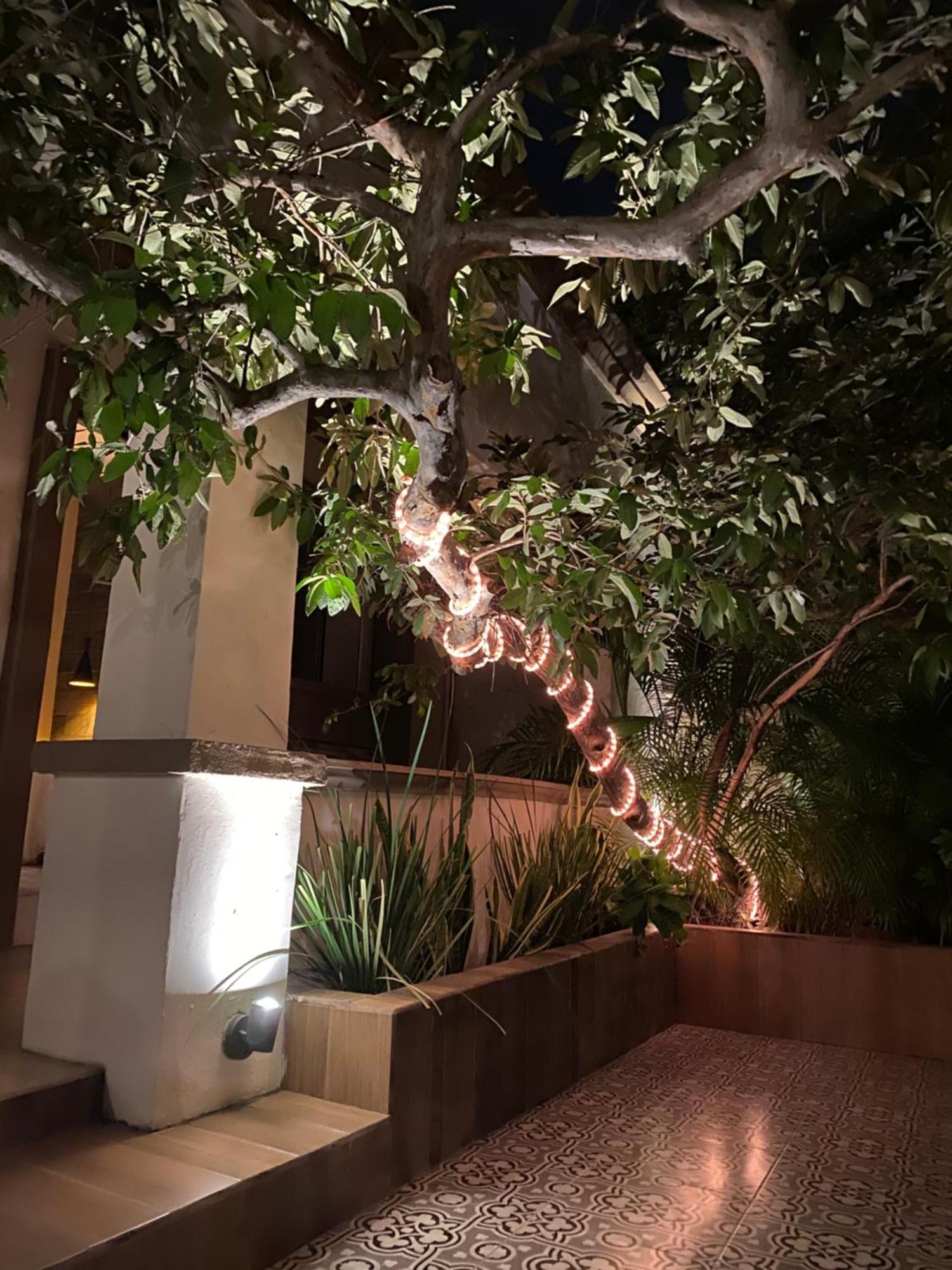 Hotel The Black Tree 4*