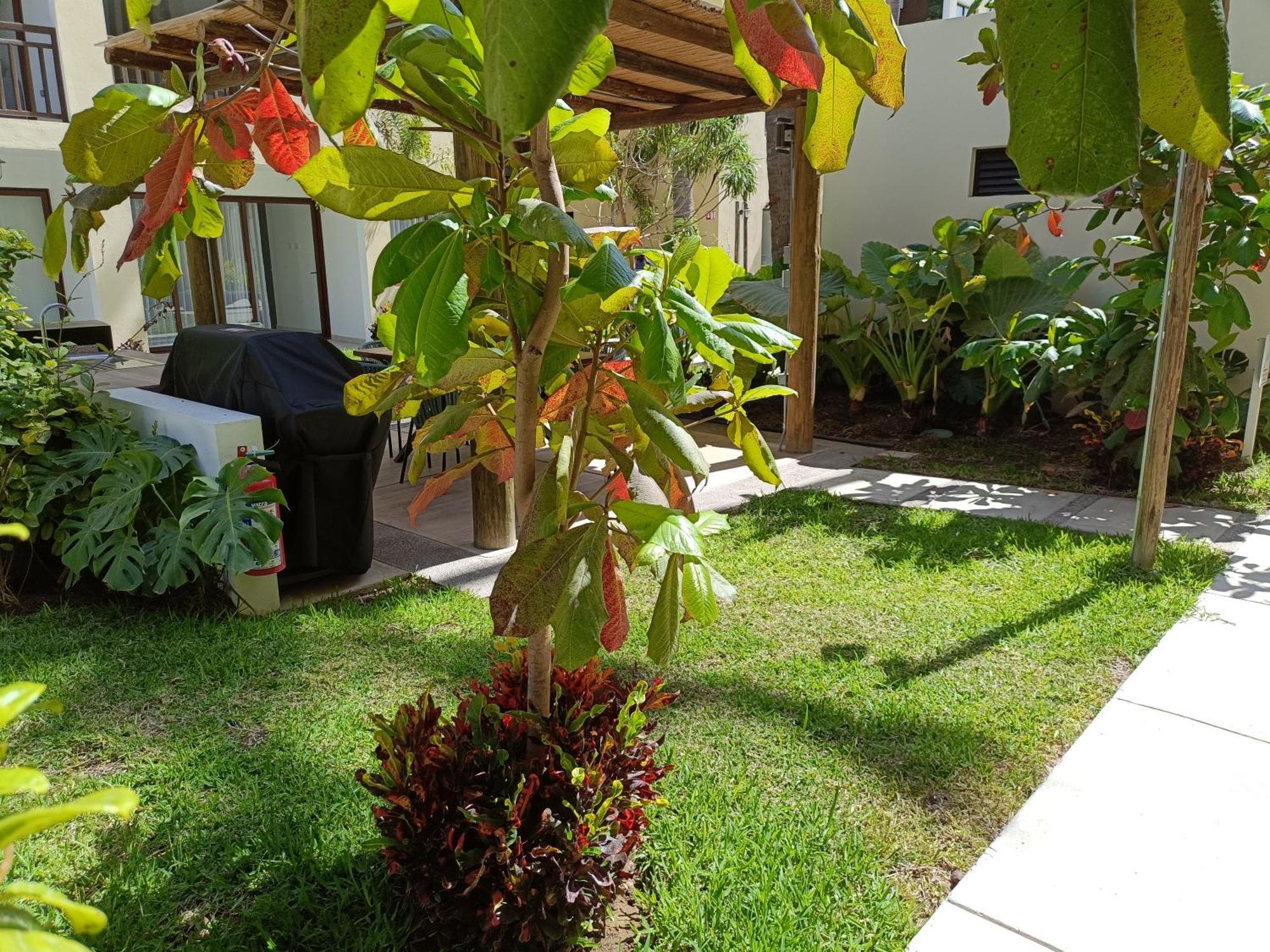 Enamorate Apartamento *