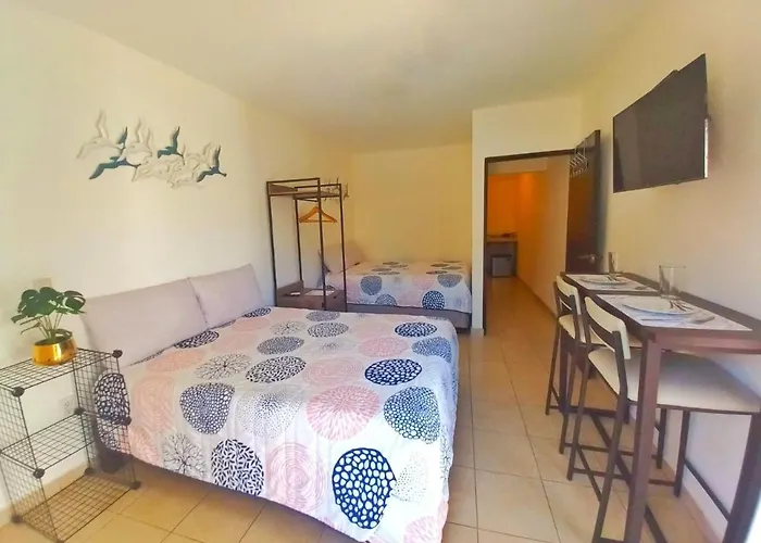 Estudio A Unos Pasos Del Malecon