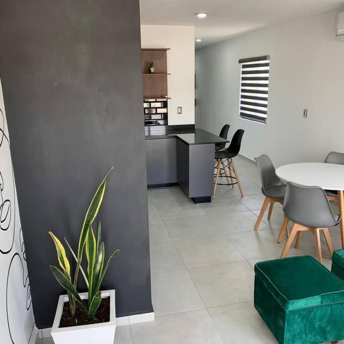 Playa Sur, 5 Min Playa Camina, Machado, Olas! Apartment