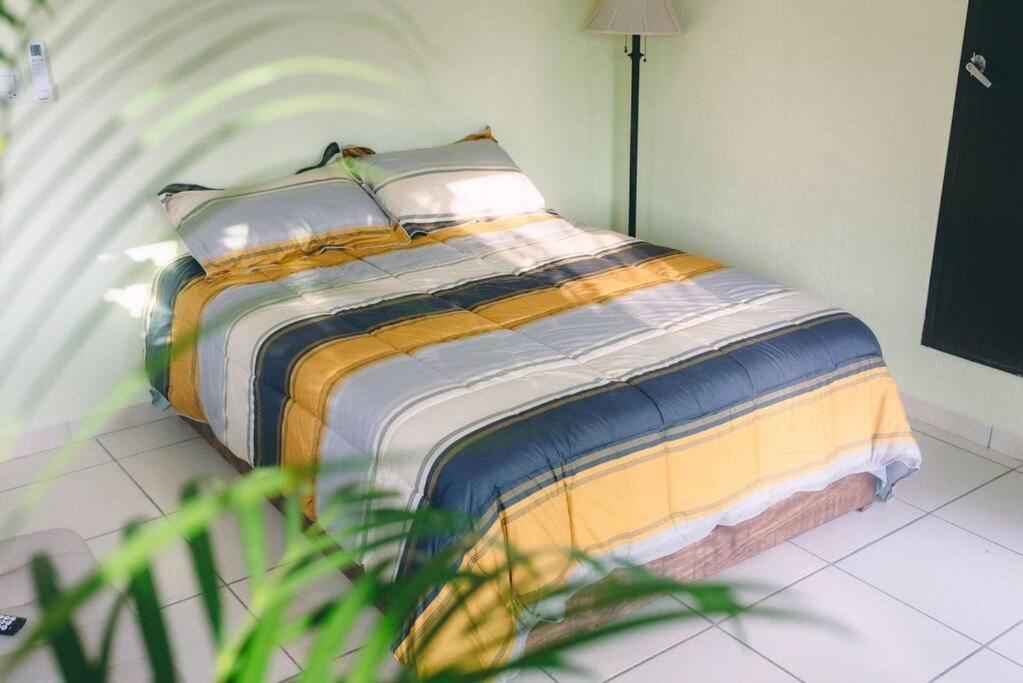 Departamento En Zona Dorada Apartamento