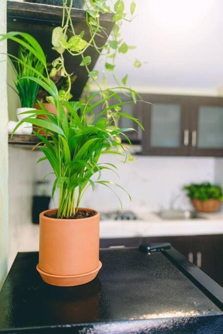 Departamento En Zona Dorada * Mazatlán