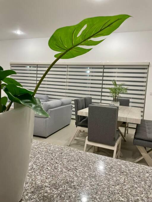 Hermoso Y Nvo Gran Alberca A 4 Min Del Mar Apartamento