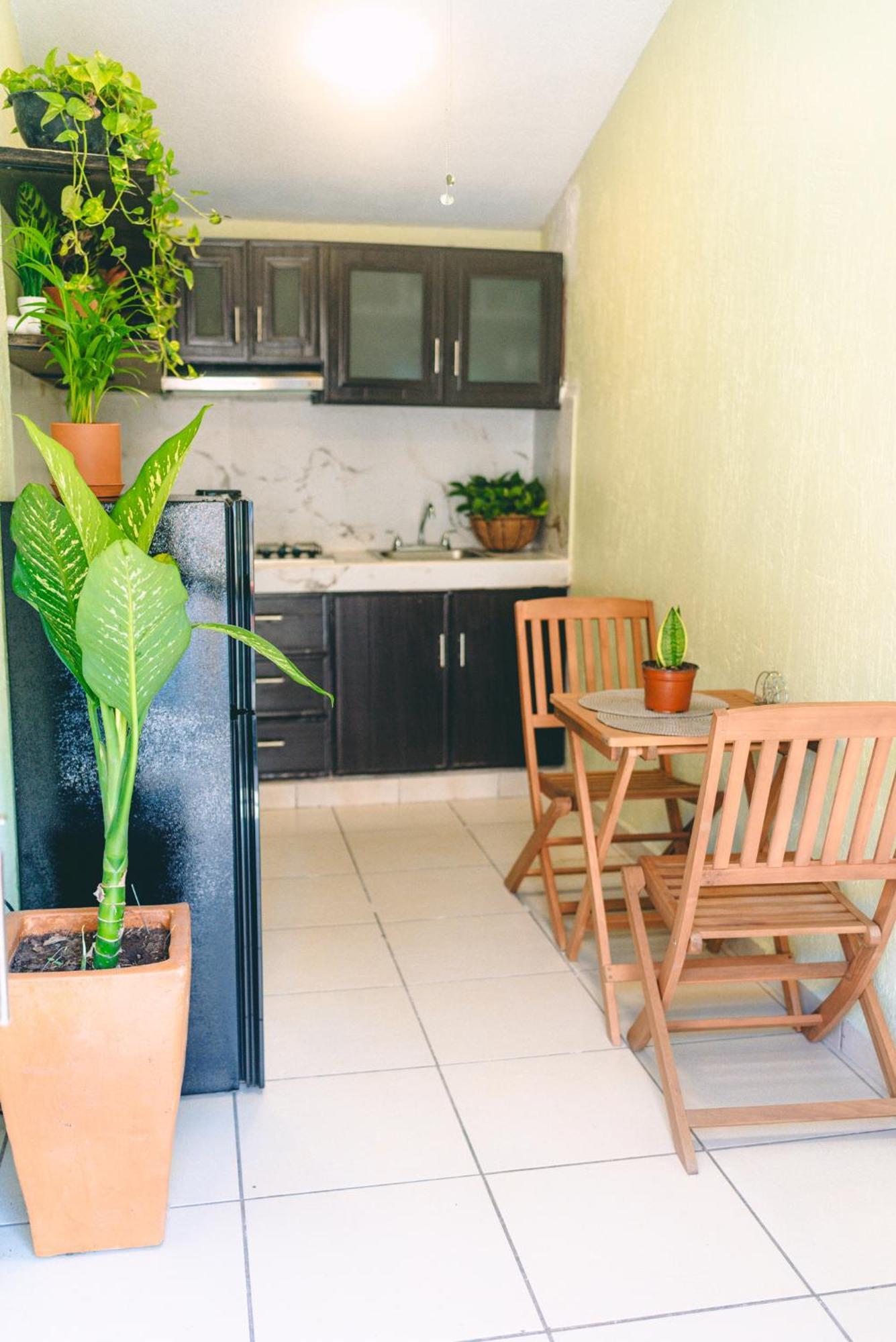 Departamento En Zona Dorada Apartamento *