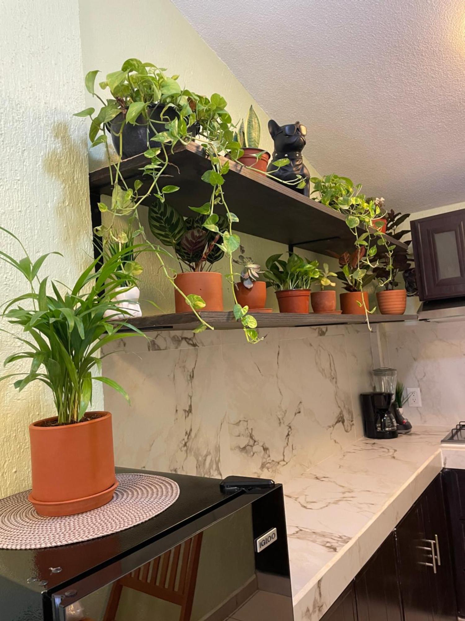 Departamento En Zona Dorada Apartamento Mazatlán