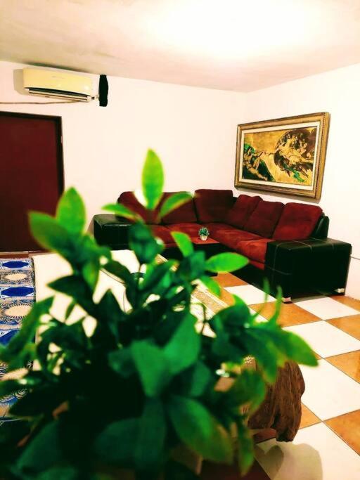 El Oasis - Centro - Camas King Y Queen Size - 500 Metros Del Malecon Y Playa Norte