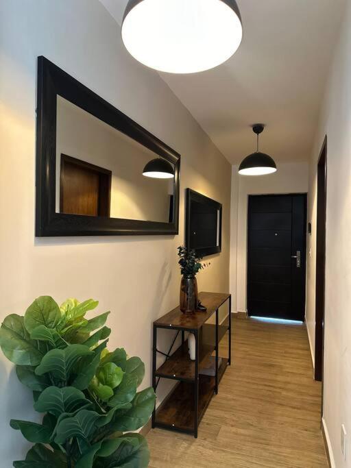 Apartamento Departamento Grey