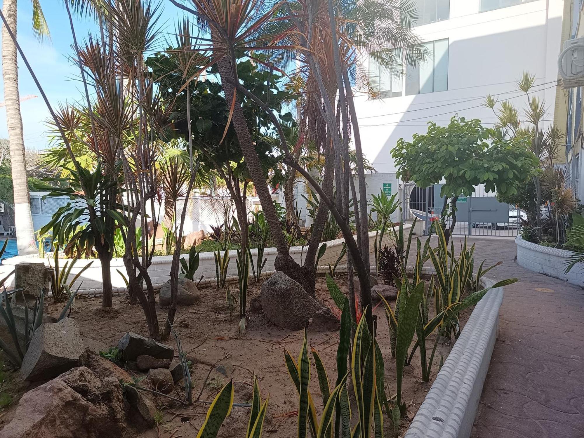 Hotel Essen'S Hotel Mazatlan