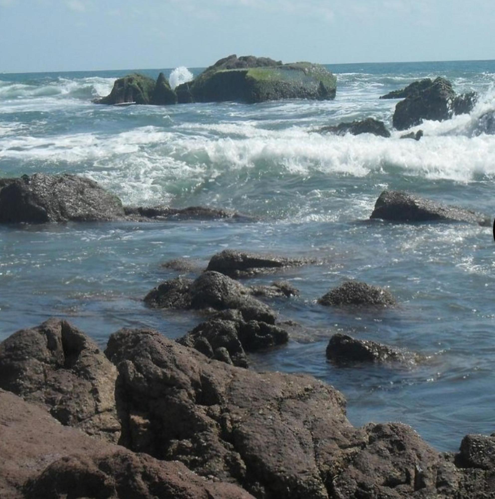El Rincon De Golondrinas * Mazatlan