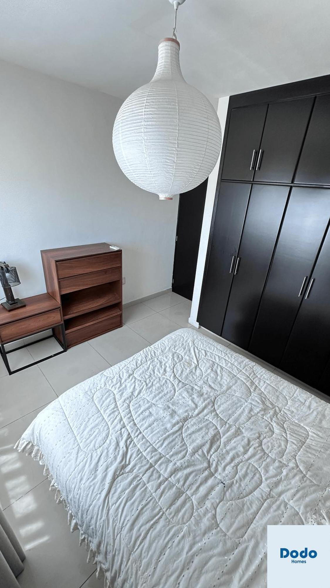 Apartment Dodo Plaza Machado *