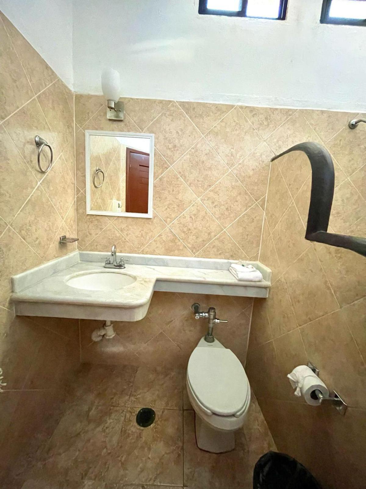 La Palapa 2*