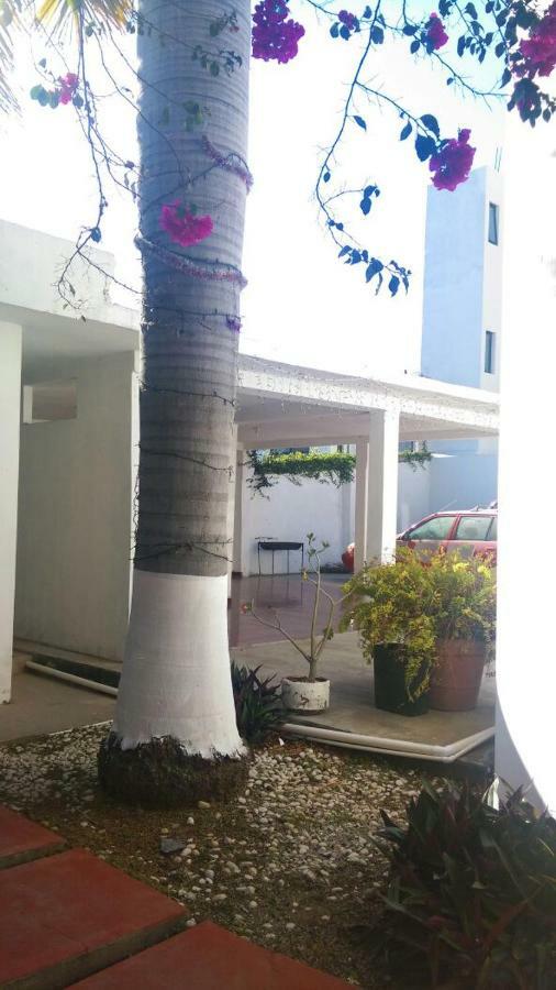 Apartment Departamento Olivia - Mazatlan