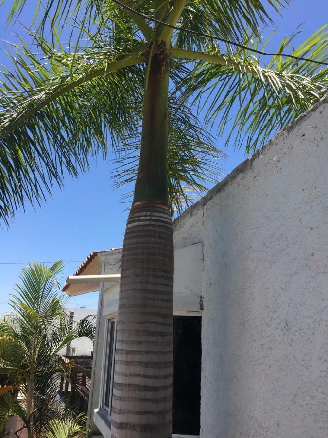 Zona Dorada Apartamento *